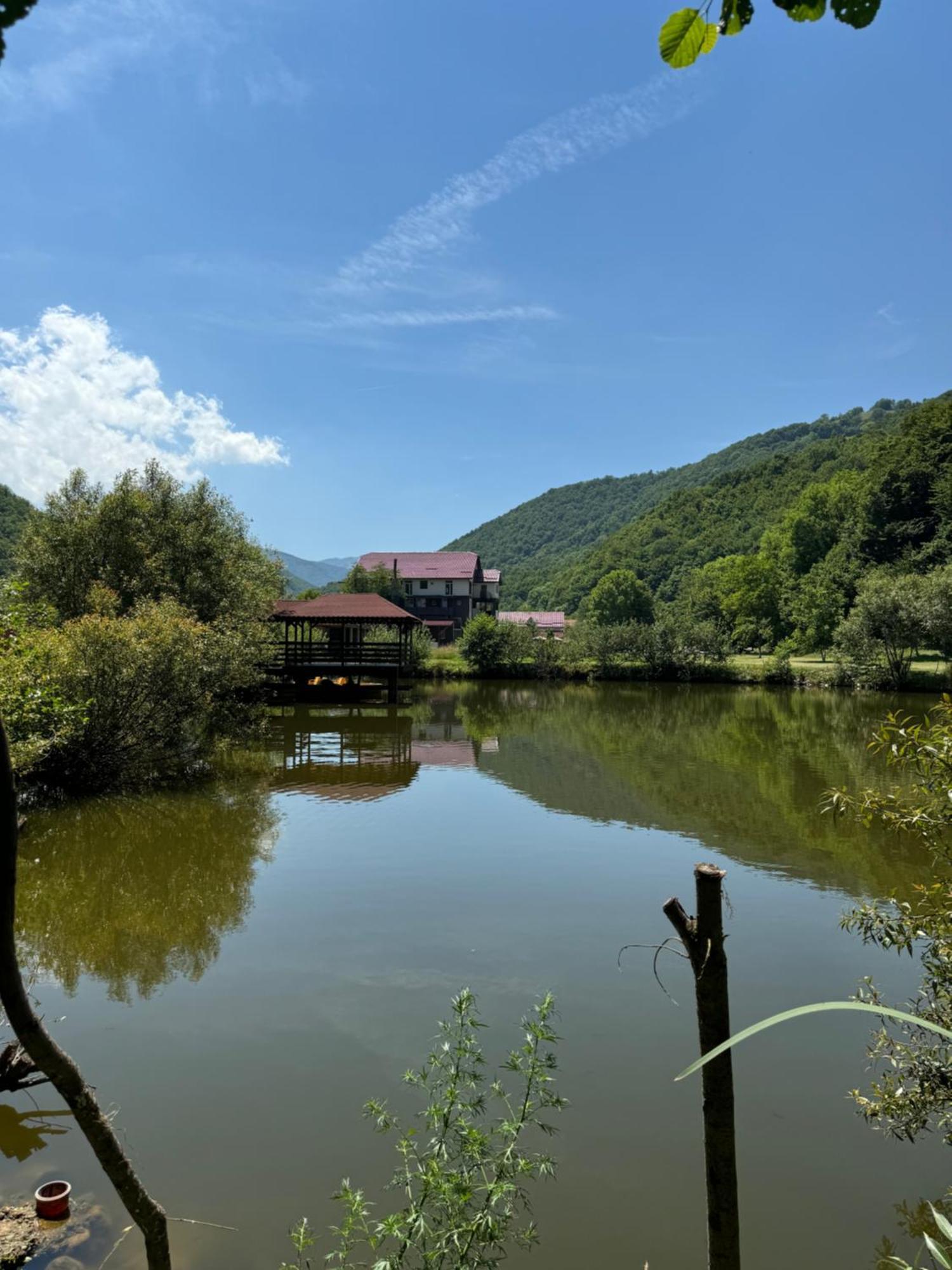 Valea Drăganului Vila Roca Hotel And Spa מראה חיצוני תמונה